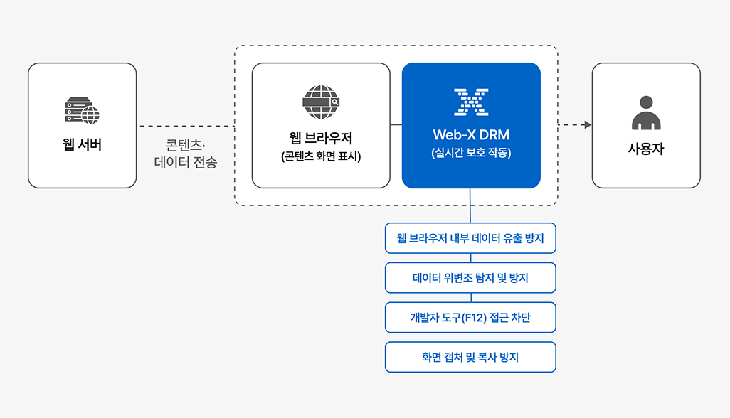 Web-X DRM, 평문 데이터 자체를 제거하는 기술